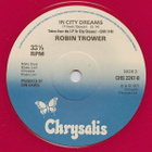 ROBIN TROWER - ITS FOR YOU - pikkukuva 3
