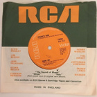 (7") Spaghetti Head - Big Noise From Winnetka - pikkukuva 2