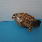Schleich Tunturipöllö - pikkukuva 5