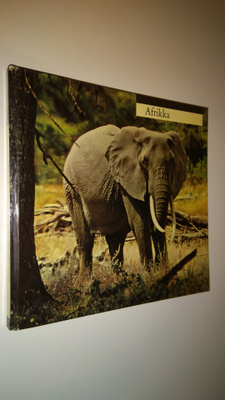 Emil Schulthess : Afrikka