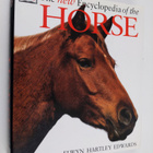 Elwyn Hartley Edwards : The New Encyclopedia of the Horse - pikkukuva 1