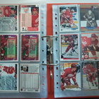Detroit Red Wings 243 kpl - pikkukuva 2