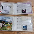 Kaksi Nintendo DS peliä kympillä - pikkukuva 3