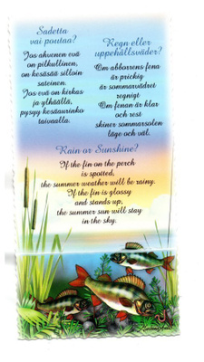 Ahven...°°SADETTA VAI POUTAA....?°° -KORTTI /Ml Ansio