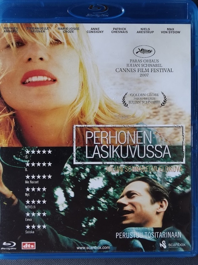 Perhonen lasikuvussa