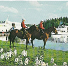 kortti °/** Valkeakoski Sääksmäki tai Viiala - erilaisia - pikkukuva 1