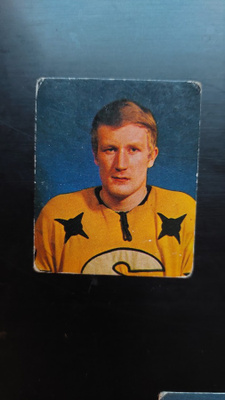 Jääkiekko 72/73 # 176