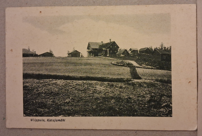 Wilppula: Katajamäki o (1003)