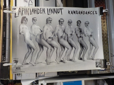 LAPINLAHDEN LINNUT VANHA KEIKKAJULISTE