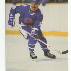 Michel Goulet 84-85 Quebec Nordiques Team Issue Postcard - pikkukuva 1