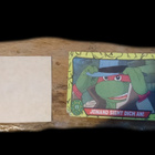 TURTLES KERÄILYKORTTI TARRAT 1990 2KPL TUOTU SAKSASTA - pikkukuva 2