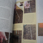 The Allotment Book - Andi Clevely - Uusi - pikkukuva 5