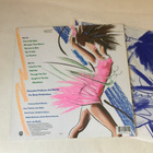 Chaka Khan - I Feel For You LP - pikkukuva 2