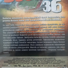 Berliini 1936 (2009) perustuu tositapahtumiin - DVD - pikkukuva 2