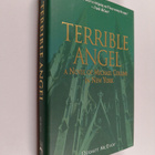 Dermot McEvoy : Terrible Angel : A Novel of Michael Colli... - pikkukuva 1