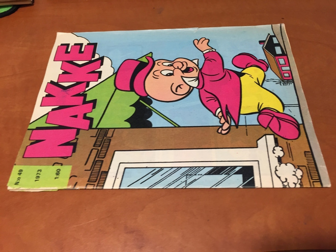 NAKKE 49/1973 HYVÄ