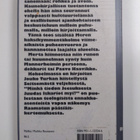 Veijo Meri : Amleth ja muita Hamletteja : esseitä, puheen... - pikkukuva 2