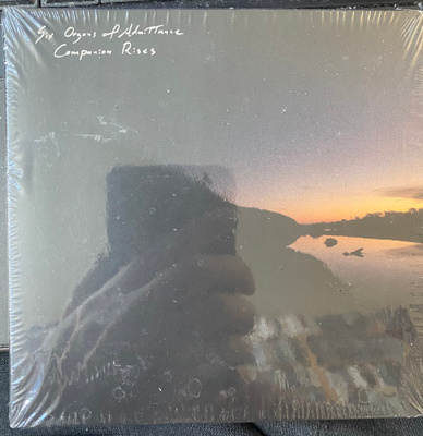 Six Organs of Admittance: Companion Rises