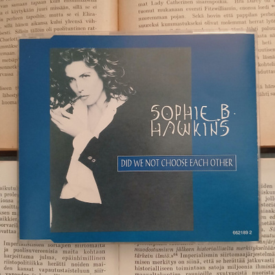Sophie B. Hawkins - Did We Not Choose Each Other (CDs)