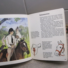 HARRASTESARJA PONIT, ARTKO 1978 - pikkukuva 2