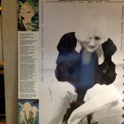 JILL SOBULE :: THINGS HERE ARE DIFFERENT : VINYYLI LP 1990 ! - pikkukuva 2