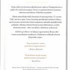 Holly Black: Keijuvalta 1 Kahlittu perillinen (sid. 2025) - pikkukuva 2