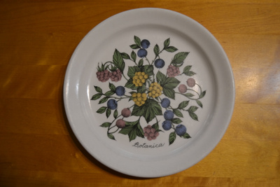 Arabia Botanica lautanen