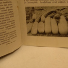 Kotiliesi No 18 syyskuu 1932 - pikkukuva 2