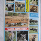 WWF ELÄIN TARRAT (16 tarraa arkissa) - pikkukuva 1