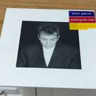 Peter Gabriel Shaking the tree LP - pikkukuva 1