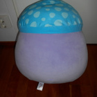 Squishmallows pehmo Pyle The Mushroom h=40cm (#3124) - pikkukuva 2