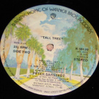PETER SARSTEDT Tall Tree ~ LP - pikkukuva 4