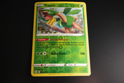 Tropius 5 /172, Brilliant Stars 2022, holo uncommon