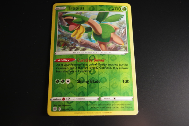 Tropius 5 /172, Brilliant Stars 2022, holo uncommon