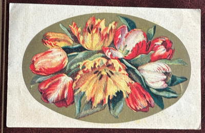 Kukkia, tulppaaniasetelma kulkenut 1931