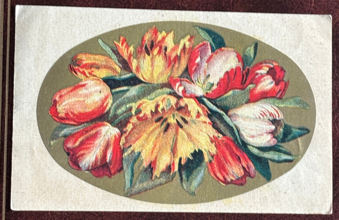 Kukkia, tulppaaniasetelma kulkenut 1931