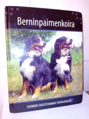 Suomen suosituimmat koirarodut Berninpaimenkoira