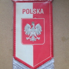 Puolan jalkapalloliitto -viiri - pikkukuva 1