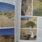 Guide to Exploration of the Sinai Alberto Siliotti - pikkukuva 4