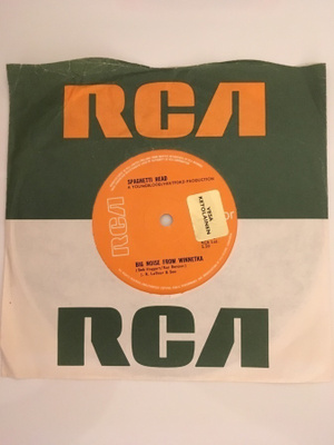 (7") Spaghetti Head - Big Noise From Winnetka
