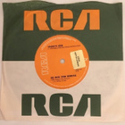(7") Spaghetti Head - Big Noise From Winnetka - pikkukuva 1