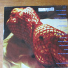 Divinyls – Divinyls (upeassa kunnossa, RARE poprock 1990). - pikkukuva 4