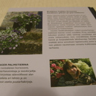 Inger Palmstierna Kesäkukat Väriloistoa puutarhaan - pikkukuva 2