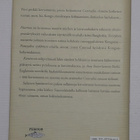 Joseph Conrad - Nuoruus ja muita kertomuksia - pikkukuva 3