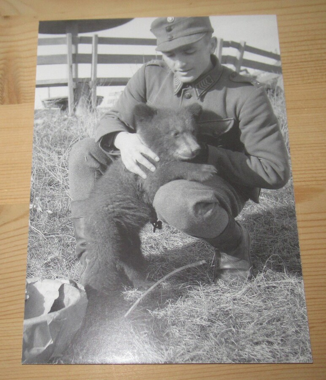 Sotilas ja karhunpentu1943 Äänislinnassa