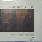 DESTROYER - LABYRINTHITIS - EU 2022 EX+/M LP - pikkukuva 2