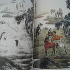 Royal Horses Paintings Technique Maalaa hevosia - pikkukuva 2