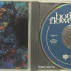 Hothouse Flowers • Home CD - pikkukuva 2