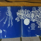 sweet pain lp: 1969 UK. mercury 20146 smcl - pikkukuva 2