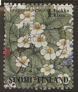 1994 1.lk ketokukkia ahomansikka  loisto